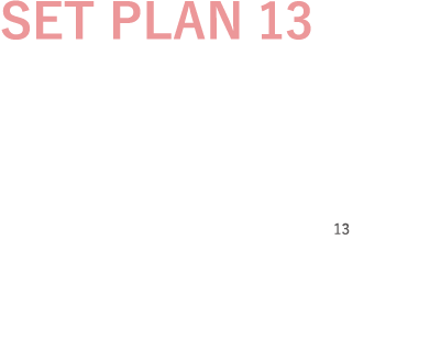SET PLAN 13