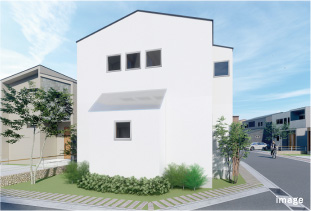 16号地